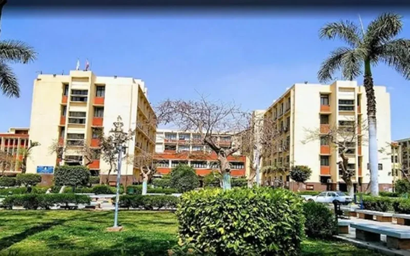 فرص عمل أكاديمية.. جامعة عين شمس تعلن طلب معيدين وأعضاء هيئة تدريس جدد